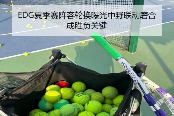 EDG夏季赛阵容轮换曝光中野联动磨合成胜负关键